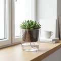 Transparent Self-Watering Plant Pot – Double Layer with Water Reservoir